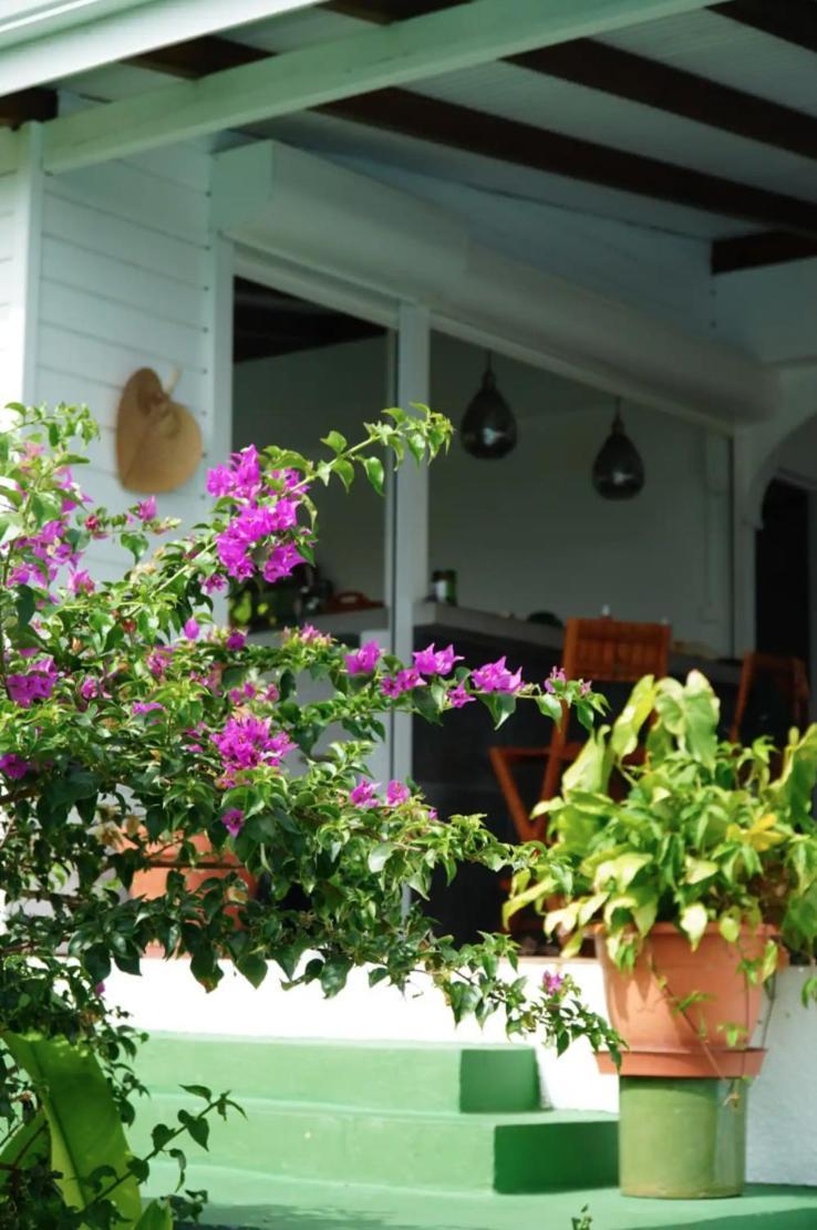 Villa Cristalline Douceur Des Alizes Belle-Allee ภายนอก รูปภาพ